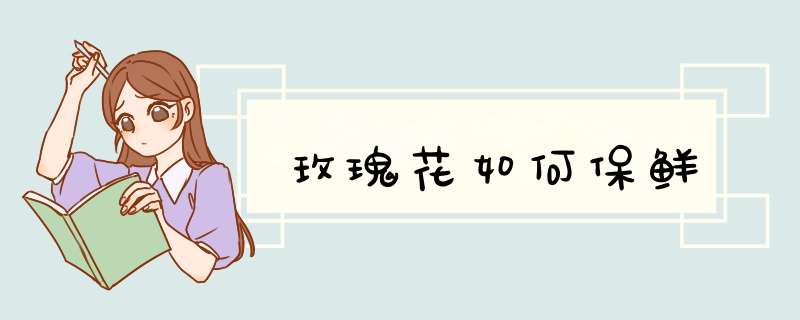 玫瑰花如何保鲜