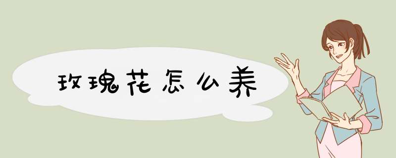 玫瑰花怎么养