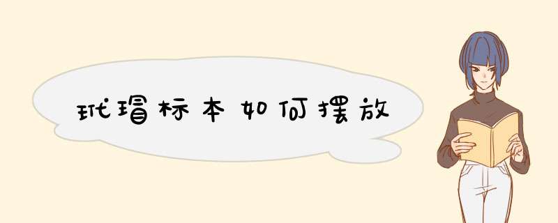 玳瑁标本如何摆放