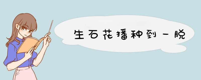 生石花播种到一脱
