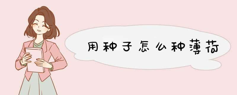 用种子怎么种薄荷