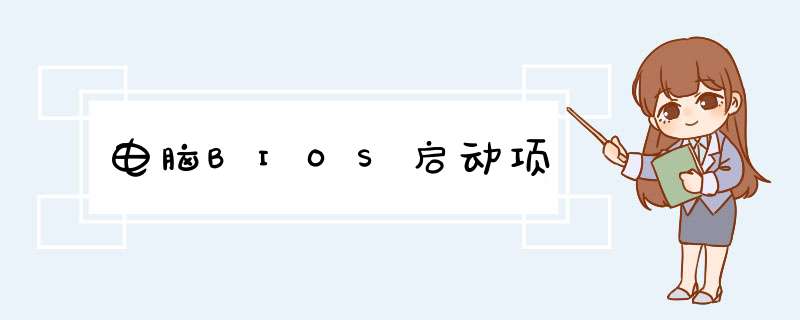 电脑BIOS启动项