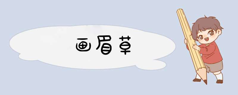 画眉草