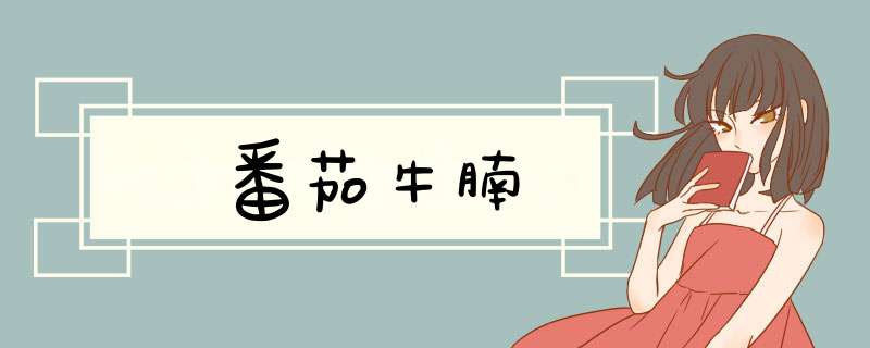 番茄牛腩