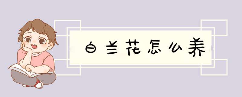 白兰花怎么养