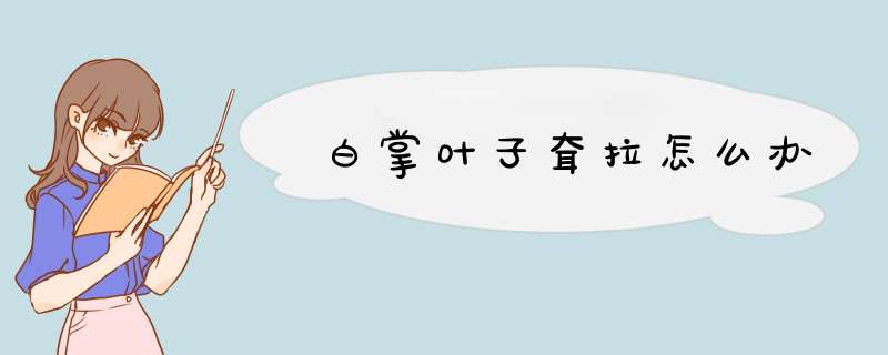 白掌叶子耷拉怎么办