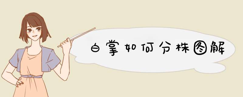 白掌如何分株图解