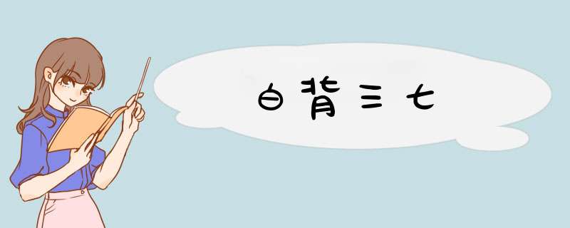 白背三七