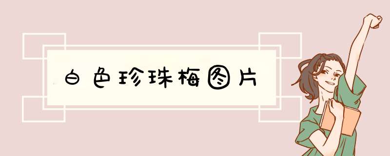 白色珍珠梅图片