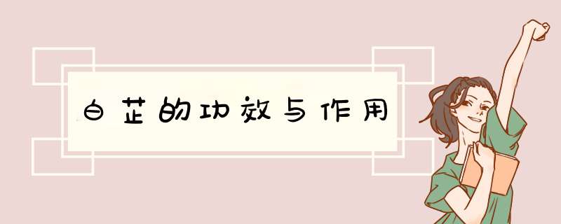白芷的功效与作用