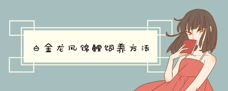 白金龙凤锦鲤饲养方法