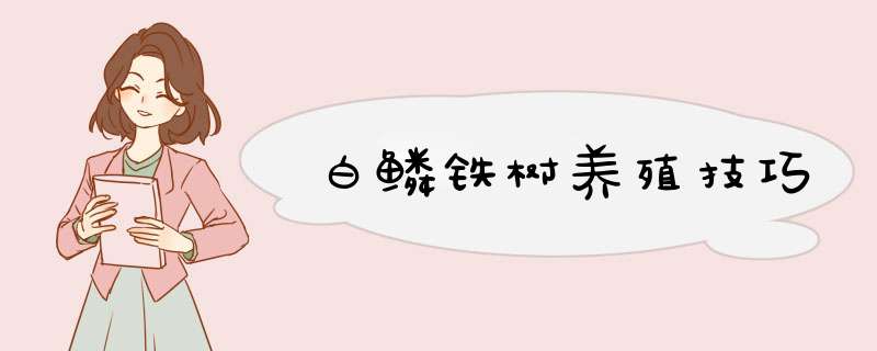 白鳞铁树养殖技巧