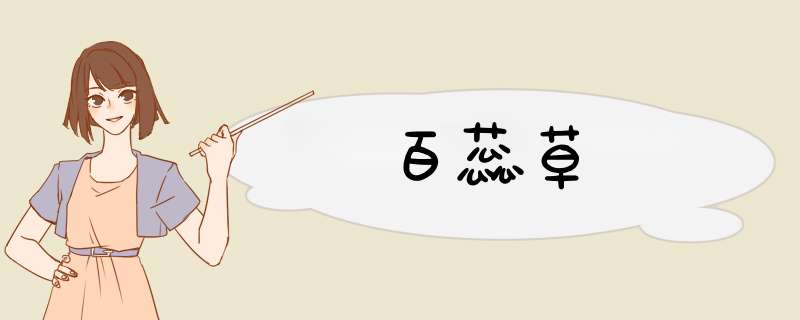 百蕊草