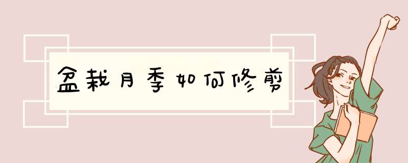 盆栽月季如何修剪