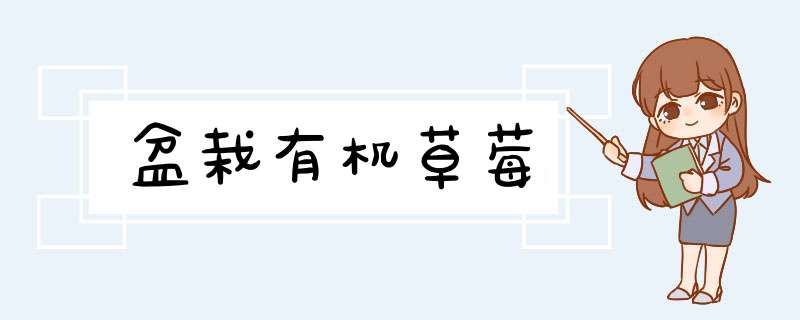 盆栽有机草莓