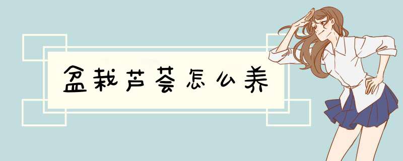 盆栽芦荟怎么养