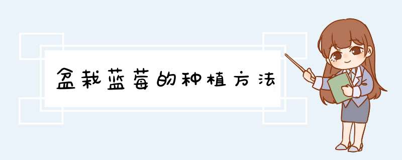 盆栽蓝莓的种植方法