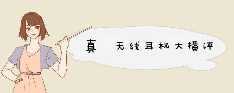 真•无线耳机大横评
