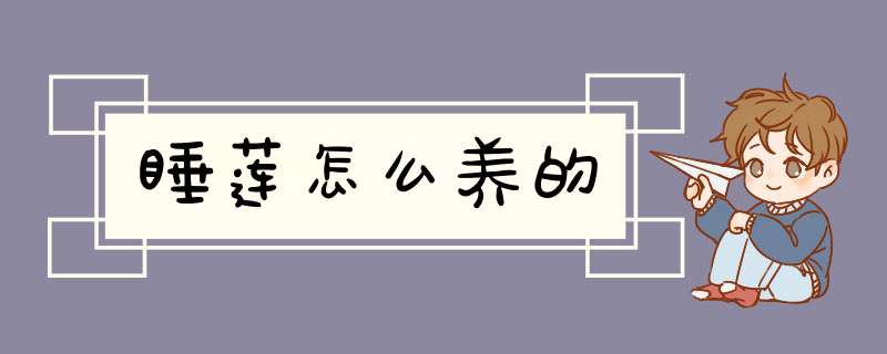 睡莲怎么养的