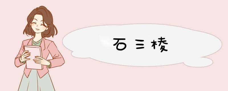 石三棱