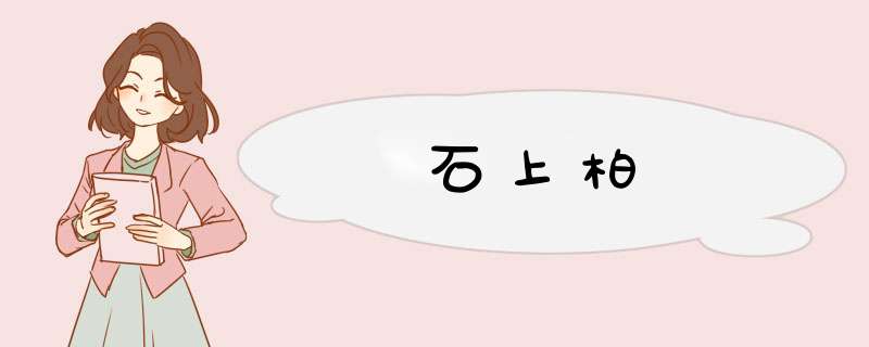 石上柏