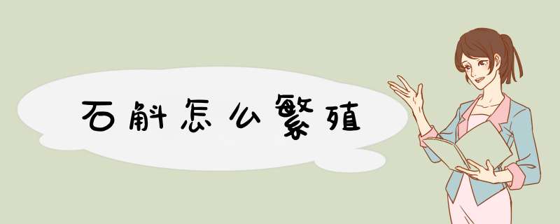 石斛怎么繁殖