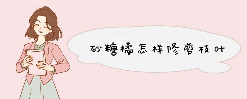 砂糖橘怎样修剪枝叶