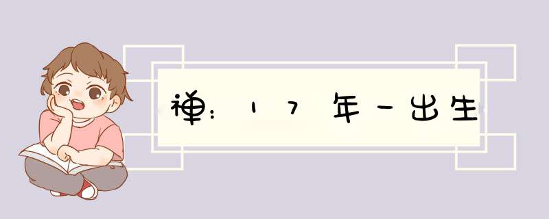 禅：17年一出生