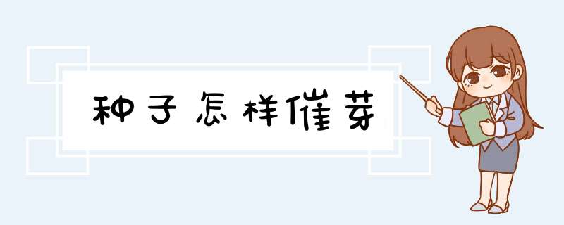 种子怎样催芽