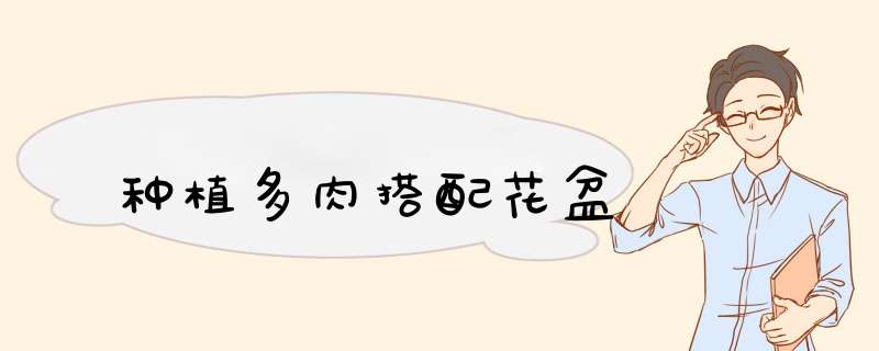 种植多肉搭配花盆