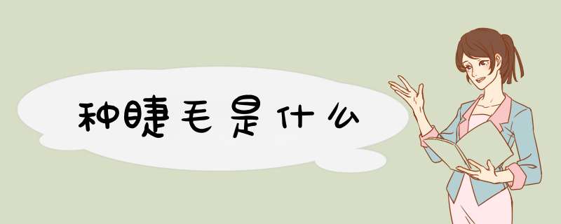 种睫毛是什么