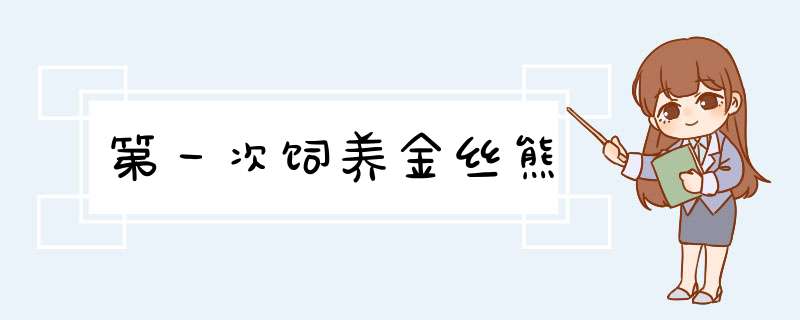 第一次饲养金丝熊