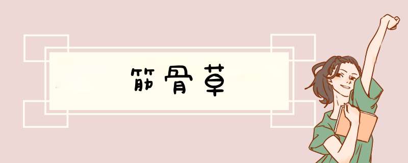 筋骨草