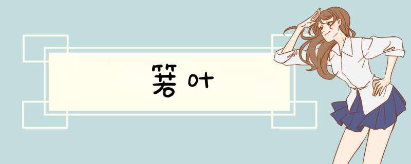箬叶