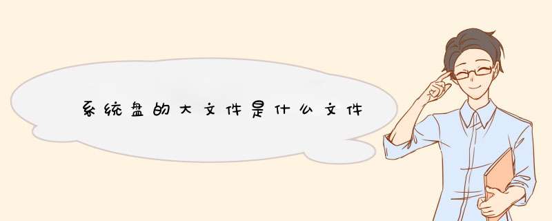 系统盘的大文件是什么文件