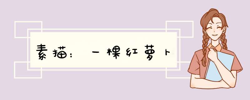 素描：一棵红萝卜