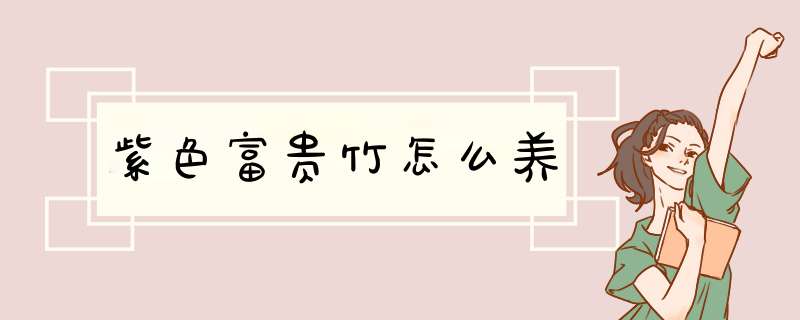 紫色富贵竹怎么养