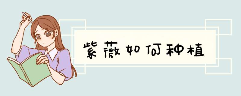 紫薇如何种植