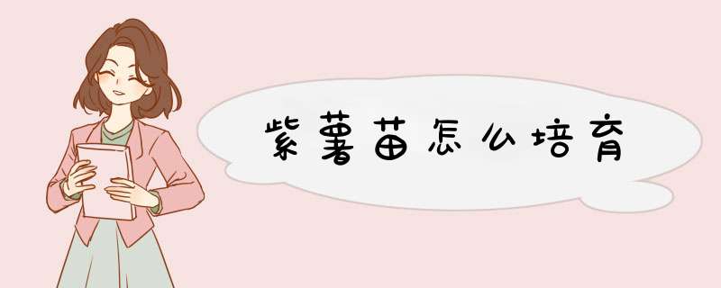 紫薯苗怎么培育