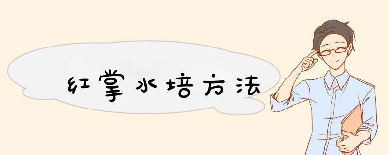 红掌水培方法