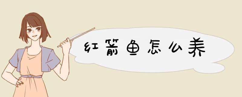 红箭鱼怎么养