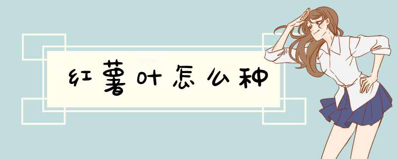 红薯叶怎么种