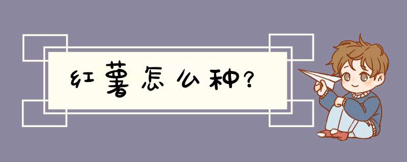 红薯怎么种？