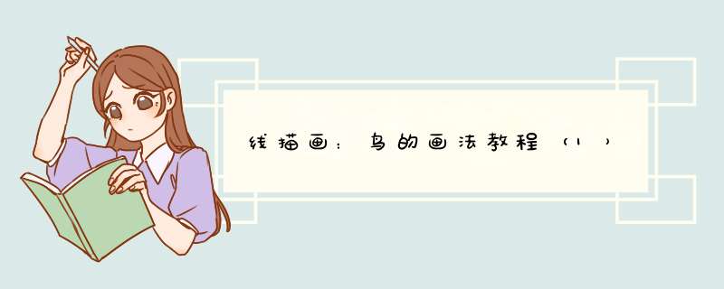 线描画：鸟的画法教程（1）
