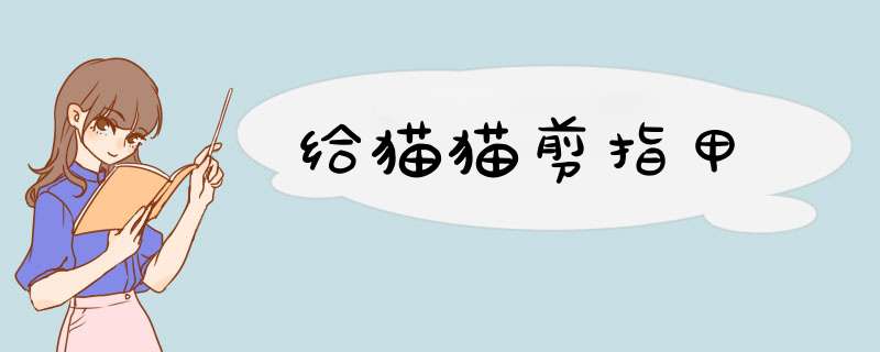 给猫猫剪指甲