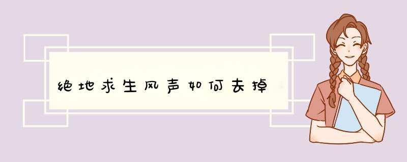 绝地求生风声如何去掉