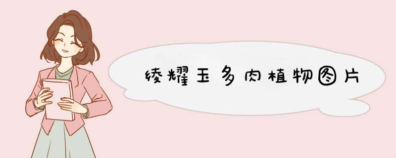 绫耀玉多肉植物图片