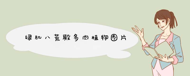 绿肌八荒殿多肉植物图片