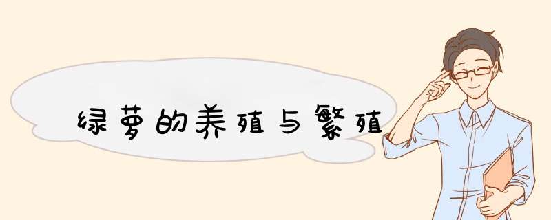 绿萝的养殖与繁殖