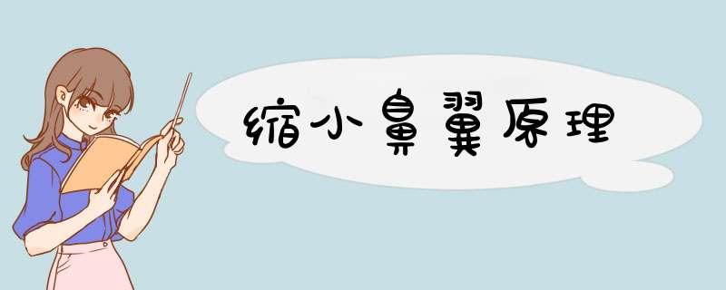 缩小鼻翼原理